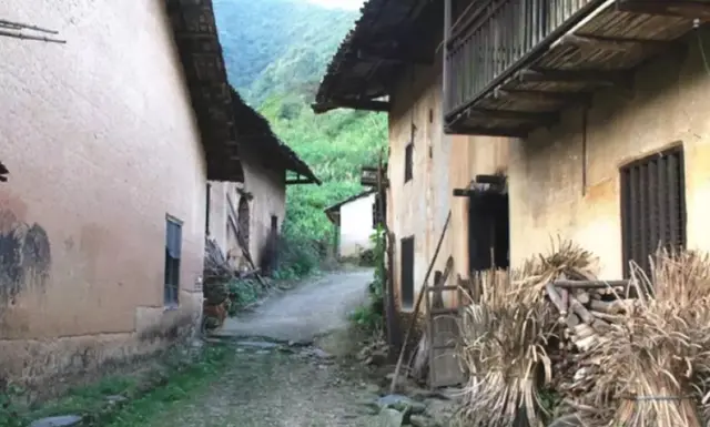 天妒英才：多次辍学，靠众人资助考上北大的才女，倒在了毕业前夕