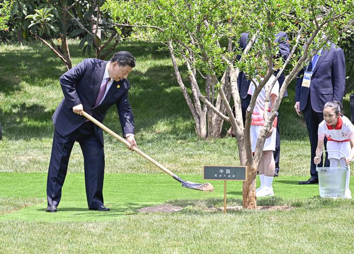 5月19日上午，国家主席习近平在陕西省西安市主持首届中国-中亚峰会并发表题为《携手建设守望相助、共同发展、普遍安全、世代友好的中国-中亚命运共同体》的主旨讲话。峰会结束后，习近平和中亚五国元首共同种下六棵石榴树，既见证中国同中亚千年友好交往，也象征中国同中亚紧密团结合作，更寄托对中国-中亚关系美好未来的期待。