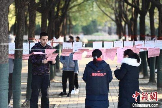 资料图：在合肥市大蜀山森林公园一处“相亲角”内悬挂的相亲简介吸引民众驻足。 韩苏原 摄